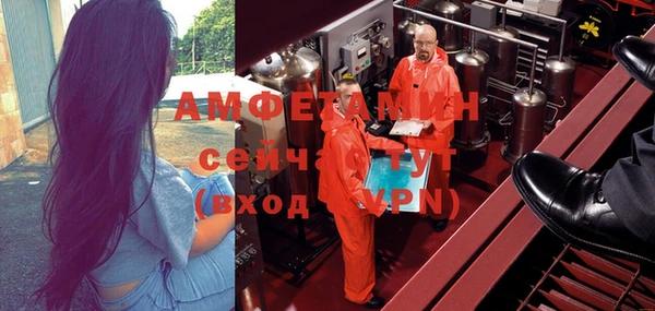 прущие грибы Покачи