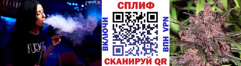 Каннабис план  hydra вход  Западная Двина  цена наркотик 